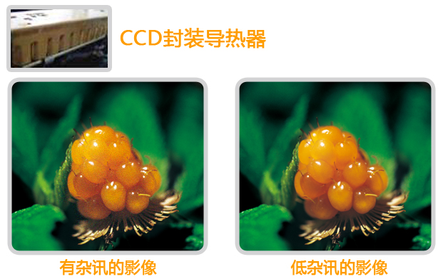 1552635731594900.jpg 1552635731594900.jpg